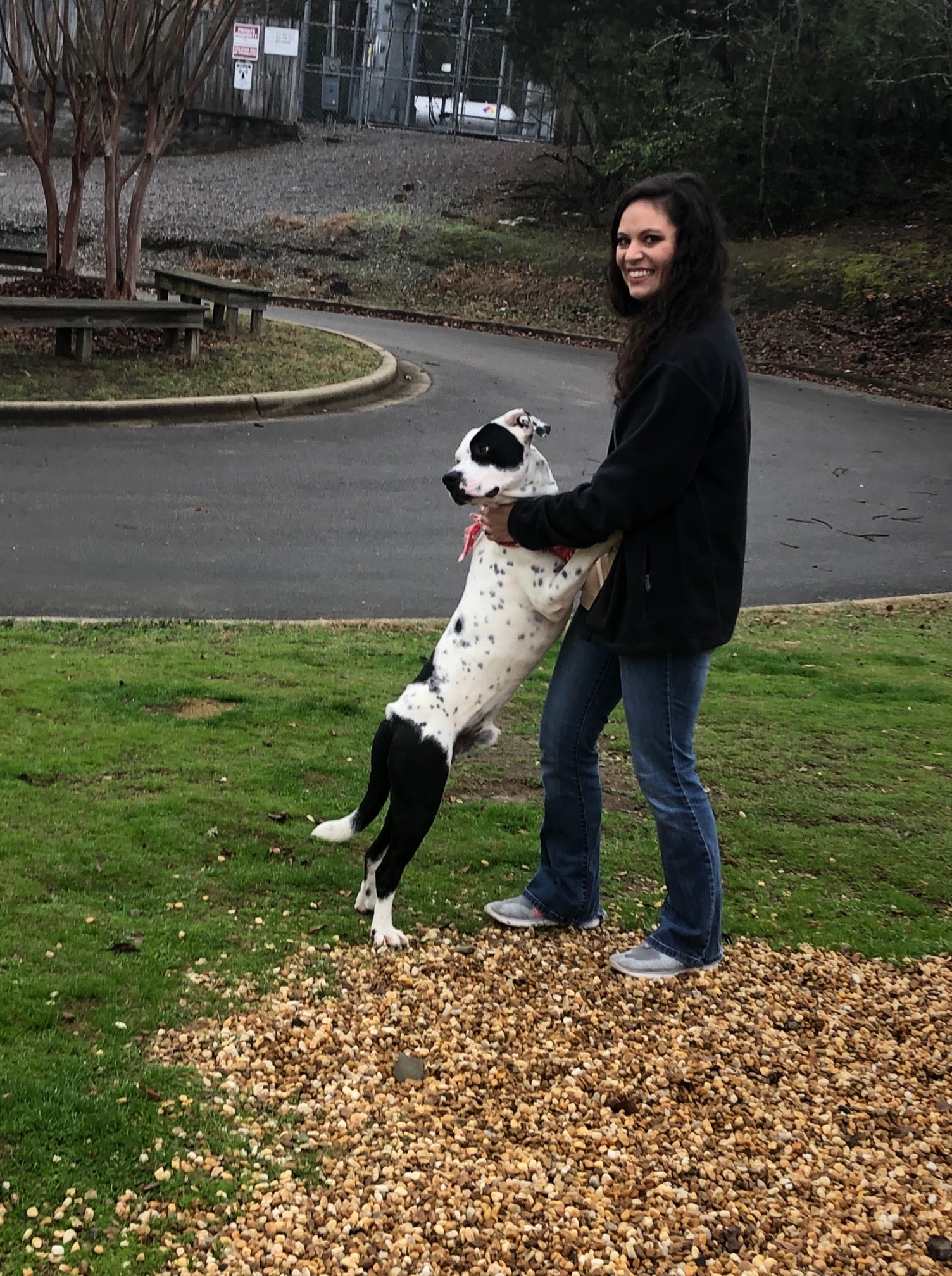 a person holding a dog in a park