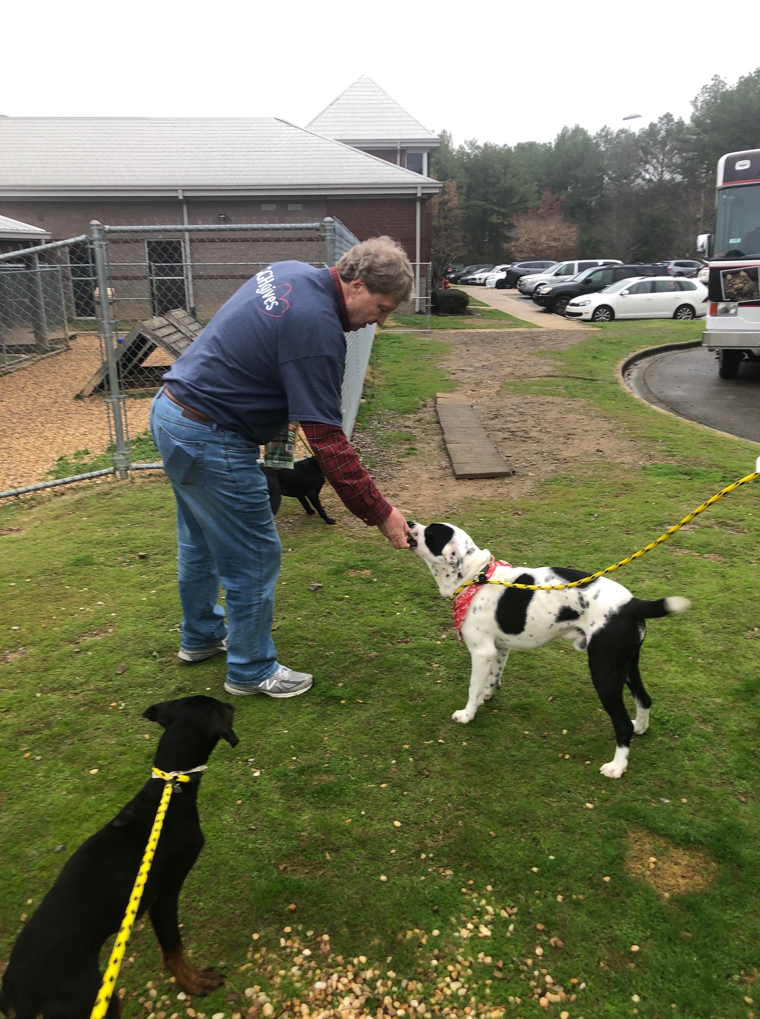 a person and a dog on a leash